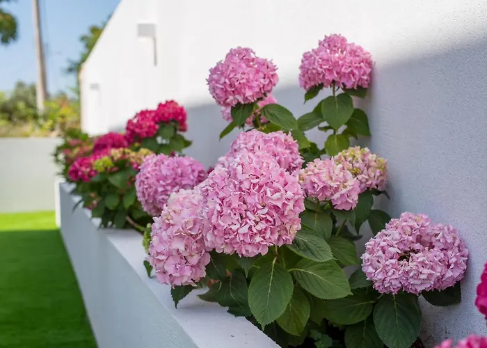 Periska * Skrbčići